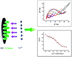 Graphical abstract: A comparative study on binding ability of three lanthanide ions with centrin using impedance method