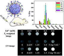 Graphical abstract: Biocompatible folate-modified Gd3+/Yb3+-doped ZnO nanoparticles for dualmodal MRI/CT imaging