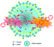 Graphical abstract: A fluorescent probe for hydrazine and its in vivo applications