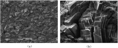 Graphical abstract: Characteristics and corrosion studies of zinc–manganese phosphate coatings on magnesium–lithium alloy