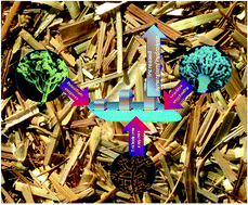 Graphical abstract: Blending of cellulolytic enzyme preparations from different fungal sources for improved cellulose hydrolysis by increasing synergism