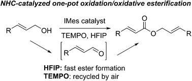 Graphical abstract: NHC-catalyzed one-pot oxidation and oxidative esterification of allylic alcohols using TEMPO: the effect of alcohol additives