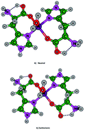 Graphical abstract: Influence of metal ions (Zn2+, Cu2+, Ca2+, Mg2+ and Na+) on the water coordinated neutral and zwitterionic l-histidine dimer