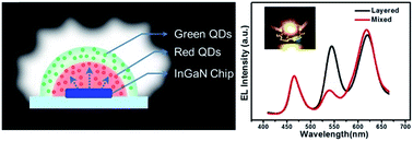 Graphical abstract: Intrinsic quantum dot based white-light-emitting diodes with a layered coating structure for reduced reabsorption of multiphase phosphors