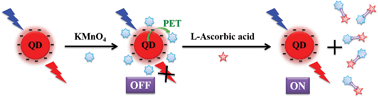Graphical abstract: A CdTe/CdS/ZnS core/shell/shell QDs-based “OFF–ON” fluorescent biosensor for sensitive and specific determination of l-ascorbic acid