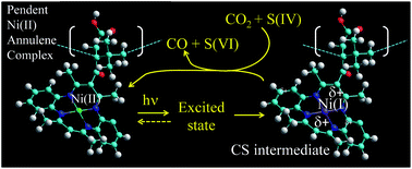 Graphical abstract: Photocatalytic reactions of a nickel(ii) annulene complex incorporated in polymeric structures