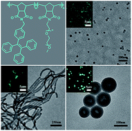 Graphical abstract: Aggregation-induced emission block copolymers based on ring-opening metathesis polymerization