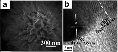 Graphical abstract: A facile synthesis of flower-shaped TiO2/Ag microspheres and their application in photocatalysts