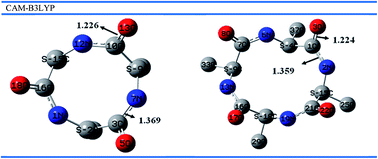 Graphical abstract: Selective complexation of alkaline earth metal ions with nanotubular cyclopeptides: DFT theoretical study