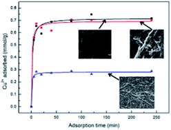 Graphical abstract: Acrylic acid grafted and acrylic acid/sodium humate grafted bamboo cellulose nanofibers for Cu2+ adsorption