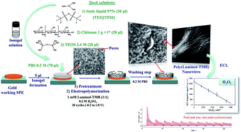 Graphical abstract: An ionogel composite including copolymer nanowires for disposable electrochemiluminescent sensor configurations