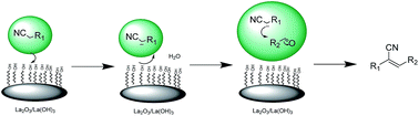 Graphical abstract: Combustion synthesized La2O3 and La(OH)3: recyclable catalytic activity towards Knoevenagel and Hantzsch reactions