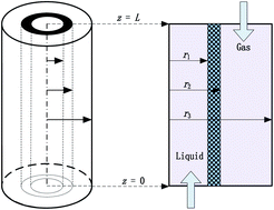 Graphical abstract: Numerical investigation of the effects of polypropylene hollow fibre membrane structure on the performance of CO2 removal from flue gas