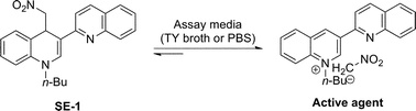 Graphical abstract: 3-Substituted biquinolinium inhibitors of AraC family transcriptional activator VirF from S. flexneri obtained through in situ chemical ionization of 3,4-disubstituted dihydroquinolines