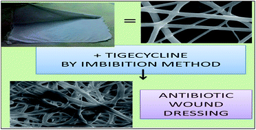 Graphical abstract: Synthesis and characterization of biocompatible tigecycline imbibed electrospun poly ε-caprolactone urethane urea fibers