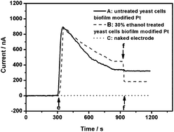 Graphical abstract: A disposable biofilm-modified amperometric biosensor for the sensitive determination of pesticide biotoxicity in water