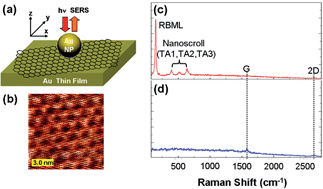 Graphical abstract: Experimental identification of tilted bending formation of graphene monolayer with gap-plasmon