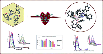 Graphical abstract: Photophysical properties and in vitro cytotoxicity studies of new Ru(ii) carbonyl complexes and mixed geometrical Ru(ii)–Ni(ii) complex in HS-DNA/BSA protein and human lung (A549) and liver (HepG2) cells