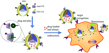 Graphical abstract: Plug-and-play multifunctional mesoporous silica nanoparticles as potential platforms for cancer therapy