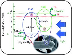 Graphical abstract: One dimensional CdS/ZnO nanocomposites: an efficient photocatalyst for hydrogen generation