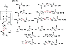 Graphical abstract: A cationic water-soluble pillar[5]arene: synthesis and host–guest complexation with long linear acids