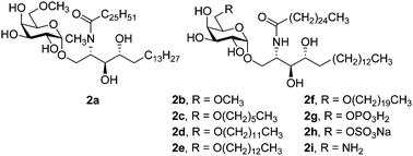 Graphical abstract: Design and synthesis of galactose-6-OH-modified α-galactosyl ceramide analogues with Th2-biased immune responses