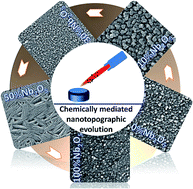 Graphical abstract: Refining nanotopographical features on bone implant surfaces by altering surface chemical compositions