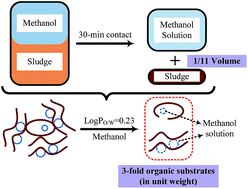 Graphical abstract: Highly effective in-depth dewatering of excess sludge using methanol