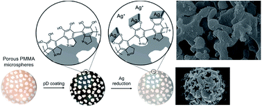 Graphical abstract: In situ functionalization of highly porous polymer microspheres with silver nanoparticles via bio-inspired chemistry