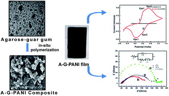 Graphical abstract: Agarose–guar gum assisted synthesis of processable polyaniline composite: morphology and electro-responsive characteristics