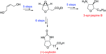 Graphical abstract: A short enantioselective synthesis of 3-epi-jaspine B and (+)-oxybiotin via an intramolecular tandem desilylation oxa-Michael addition strategy
