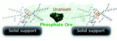 Graphical abstract: From phosphate rocks to uranium raw materials: hybrid materials designed for selective separation of uranium from phosphoric acid