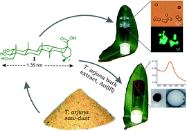 Graphical abstract: Vesicular self-assembly of a natural triterpenoid arjunolic acid in aqueous medium: study of entrapment properties and in situ generation of gel–gold nanoparticle hybrid material