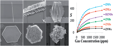 Graphical abstract: Hierarchically designed ZnO nanostructure based high performance gas sensors