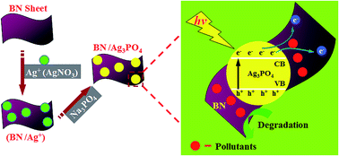 Graphical abstract: Graphene-analogue boron nitride/Ag3PO4 composite for efficient visible-light-driven photocatalysis