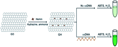 Graphical abstract: Graphene–hemin hybrid nanosheets as a label-free colorimetric platform for DNA and small molecule assays