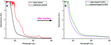 Graphical abstract: Biomolecules in grape leaf extract involved in one-step synthesis of iron-based nanoparticles