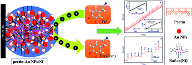 Graphical abstract: Electrodeposition of gold nanoparticles on a pectin scaffold and its electrocatalytic application in the selective determination of dopamine