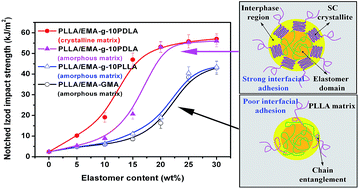 Graphical abstract: Towards high-performance poly(l-lactide)/elastomer blends with tunable interfacial adhesion and matrix crystallization via constructing stereocomplex crystallites at the interface