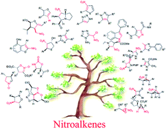 Graphical abstract: Part I: Nitroalkenes in the synthesis of heterocyclic compounds