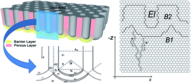 Graphical abstract: A stochastic route to simulate the growth of porous anodic alumina