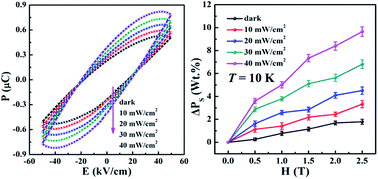 Graphical abstract: Visible-light controlled ferroelectricity and magnetoelectric coupling in multiferroic BiCoO3 nanoribbons