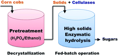 Graphical abstract: Enhanced enzymatic hydrolysis of lignocellulose by integrated decrystallization and fed-batch operation