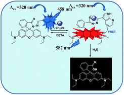 Graphical abstract: Chemodosimeter approach for nanomolar detection of Cu2+ ions and their bio-imaging in PC3 cell lines