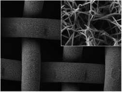 Graphical abstract: Homogeneous growth of conducting polymer nanofibers by electrodeposition for superhydrophobic and superoleophilic stainless steel meshes