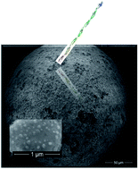 Graphical abstract: Engineered nanoporous gold microspheres for stochastic sensing