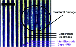 Graphical abstract: Alternating electric field capacitively coupled micro-electroporation