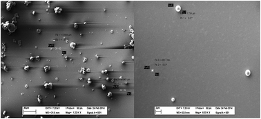 Graphical abstract: Enriched hydrogen production by bioconversion of biodiesel waste supplemented with ferric citrate and its nano-spray dried particles