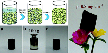 Graphical abstract: Ultra-flyweight hydrophobic poly(m-phenylenediamine) aerogel with micro-spherical shell structures as a high-performance selective adsorbent for oil contamination