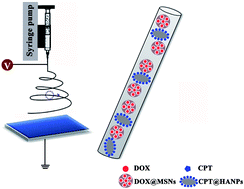 Graphical abstract: Antitumor efficacy of a PLGA composite nanofiber embedded with doxorubicin@MSNs and hydroxycamptothecin@HANPs